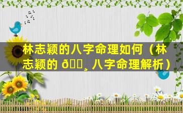 林志颖的八字命理如何（林志颖的 🌸 八字命理解析）